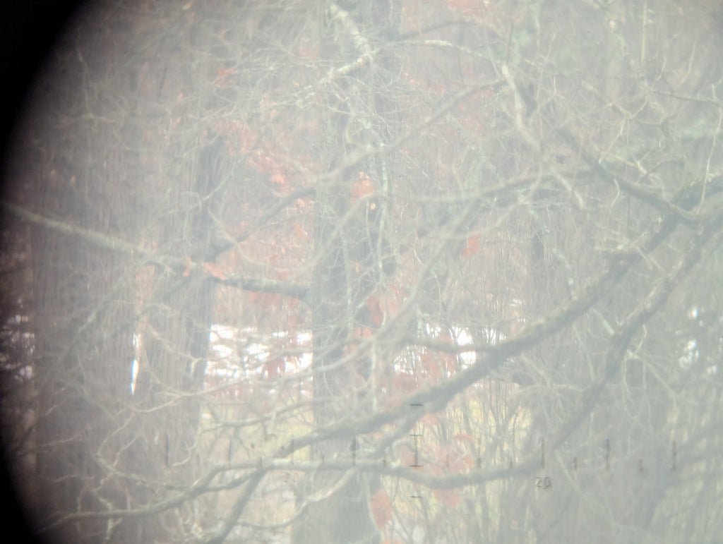 CAG 6X30 Binoculars Nice Swarovski — image 12