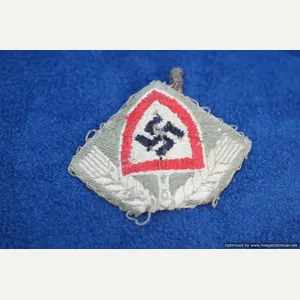 SMGQ-0109 RAD Cap badge