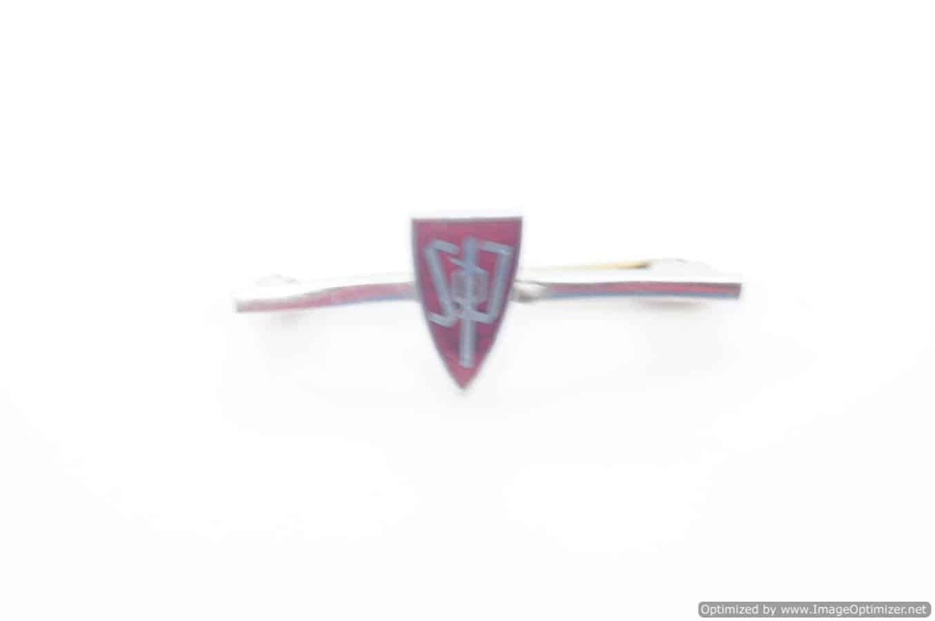 SMGP-702 Sudeten Deutsche Partei Pin (SDP) — image 2