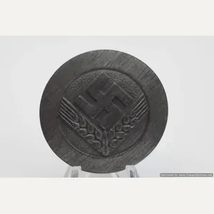 SMGP-676* GERMAN RAD (REICHSARBEITSDIENST) BROOCH