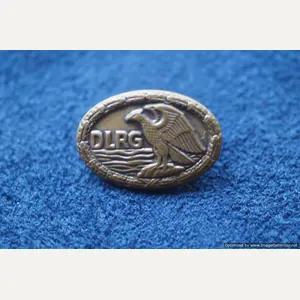 SMGP-264 DLRG pin Bronze