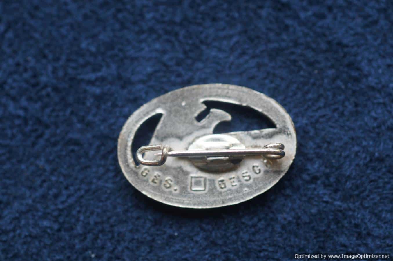 SMGP-260 DLRG pin Silver — image 2
