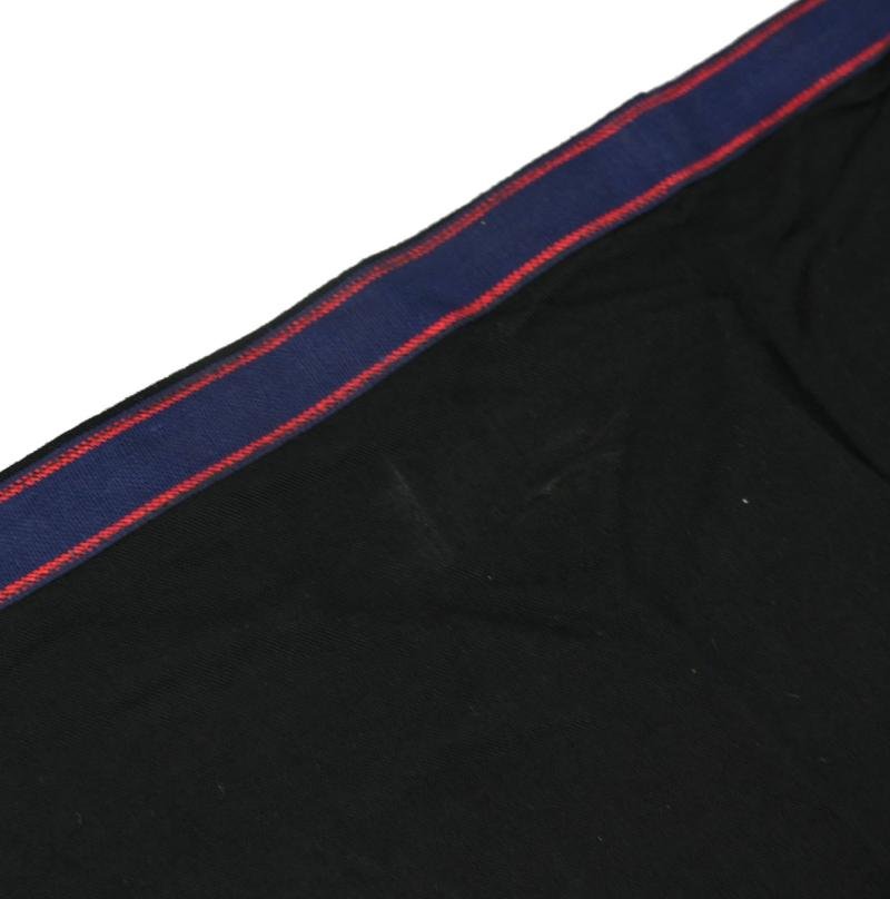 Italian WW2 MVSN Black Shirt Flag — image 7