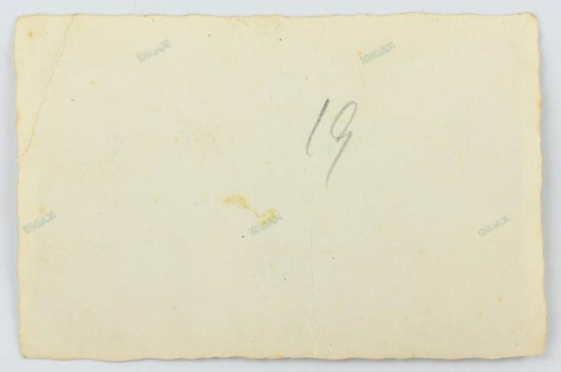 German WH Group Picture with Nurse — image 3