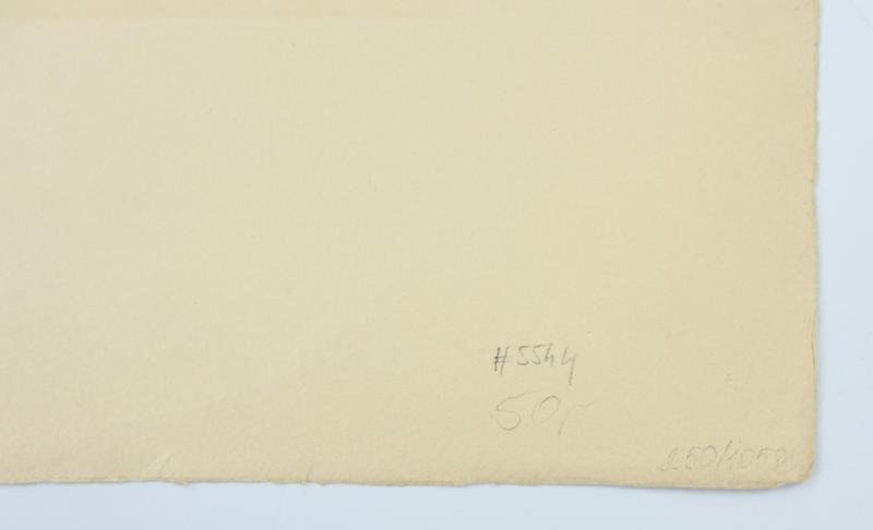 German Proof Example Portrait Print/Litho of Reichsmarshall Hermann Göring — image 9