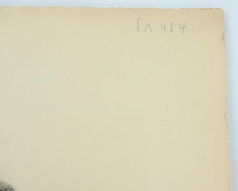 German Portrait Print/Litho of Reichsmarshall Hermann Göring by K.J.Böhringer — image 6