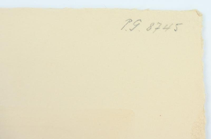 German Third Reich Litho 'Erich Raeder' — image 9