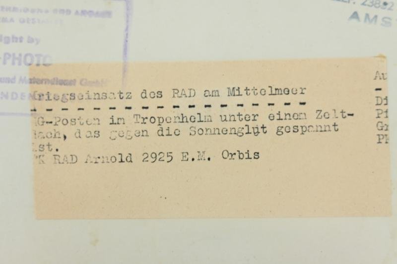 German RAD Press Photo 'Mittelmeer' — image 4