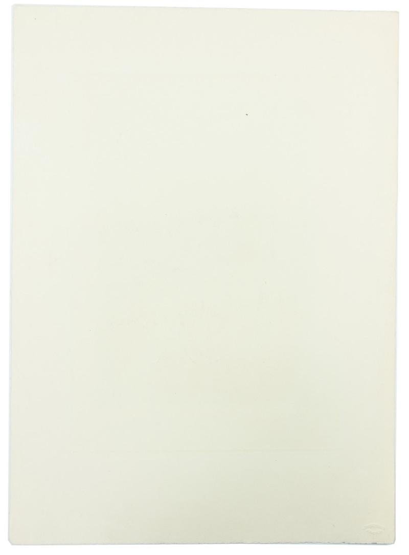 German Third Reich Portrait Picture Generaloberst 'Hans von Seeckt' — image 6