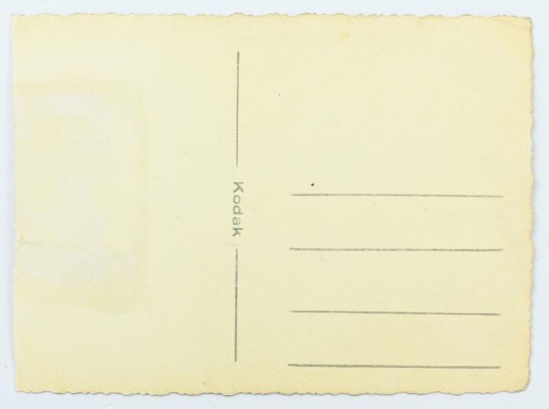 German Waffen-SS Portrait Picture 'Totenkopf' — image 3