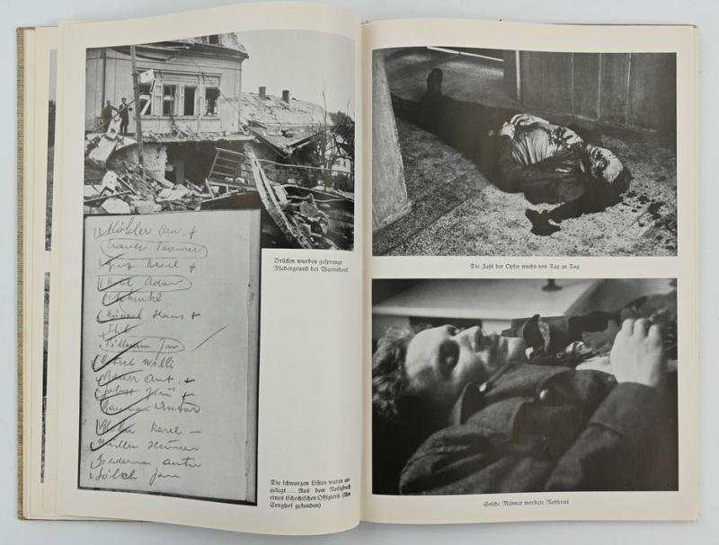 German Book: 'Von der SdP zur NSDAP' — image 7