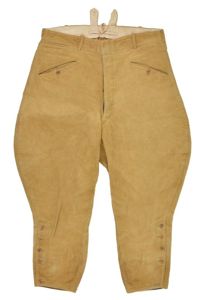 German SA Breeches