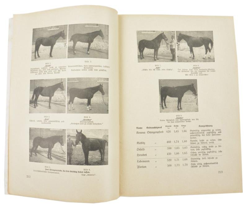 German WH Magazine 'Artilleristische Rundschau' 1936 — image 3