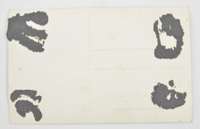 German WH/SS Portrait Picture 'Two Brothers' — image 3