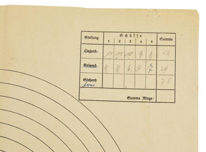 German DRL Shooting Plate — image 3