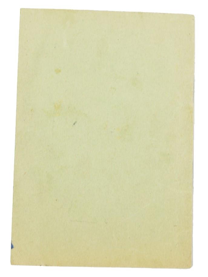 German DSB Memberpass — image 6