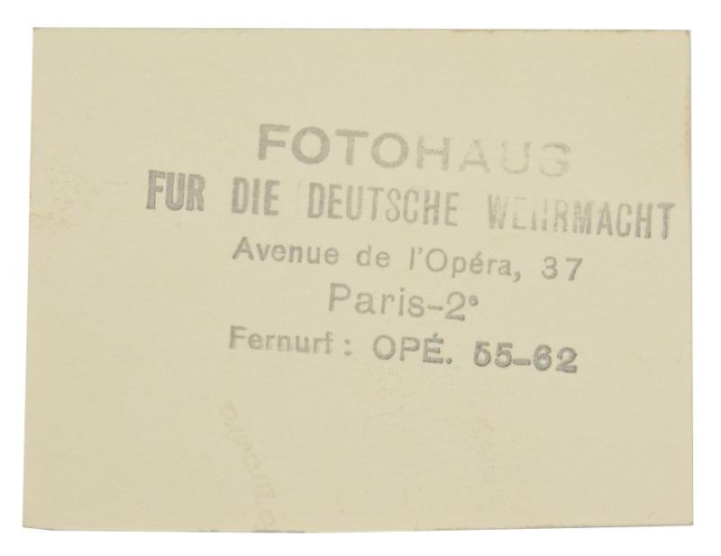 German GFP Portrait Picture 'Paris' — image 2