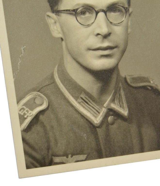 German GFP Portrait Picture 'Paris' — image 3