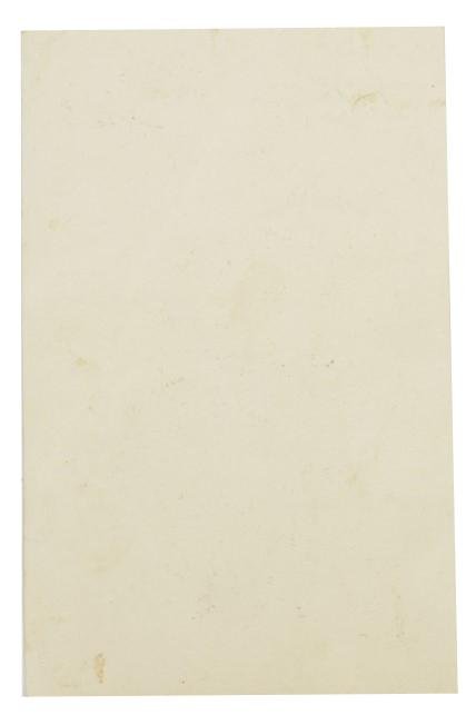 German WH Wedding Portrait Picture — image 2