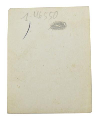 German SA Portrait Picture — image 2