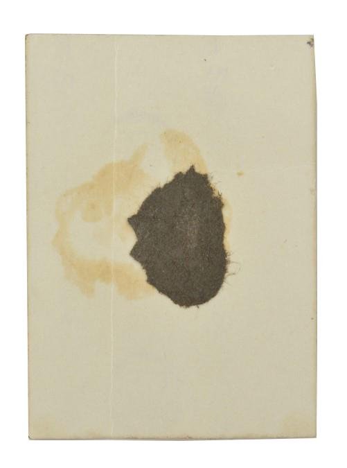 German SA Portrait Picture — image 2