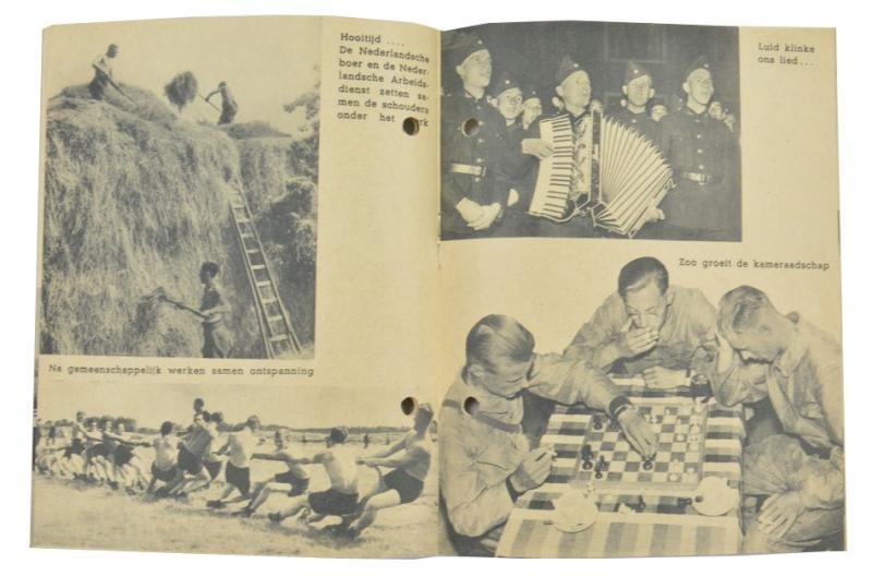 Dutch NAD Recruting Flyer — image 4