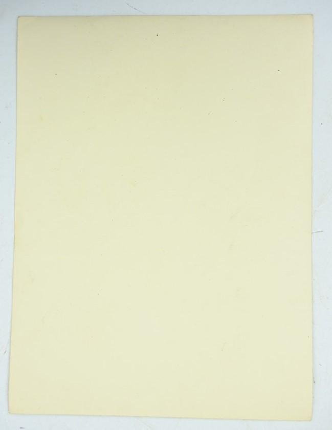 German Allgemeine-SS Wedding Picture — image 4