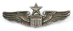 USAAF WW2 Sterling Senior Pilot Wing 'N.S. Meyer N.Y.'