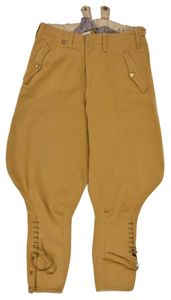 German NSDAP Political Breeches