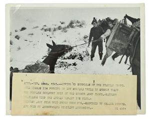 US WW2 Press Photo 'Italian front'