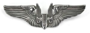 USAAF WW2 Aerial Gunner Wing Sterling