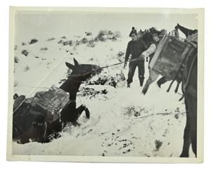 British WW2 Press Photo
