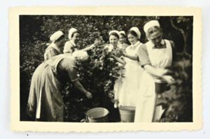 German Third Reich DRK Group Picture