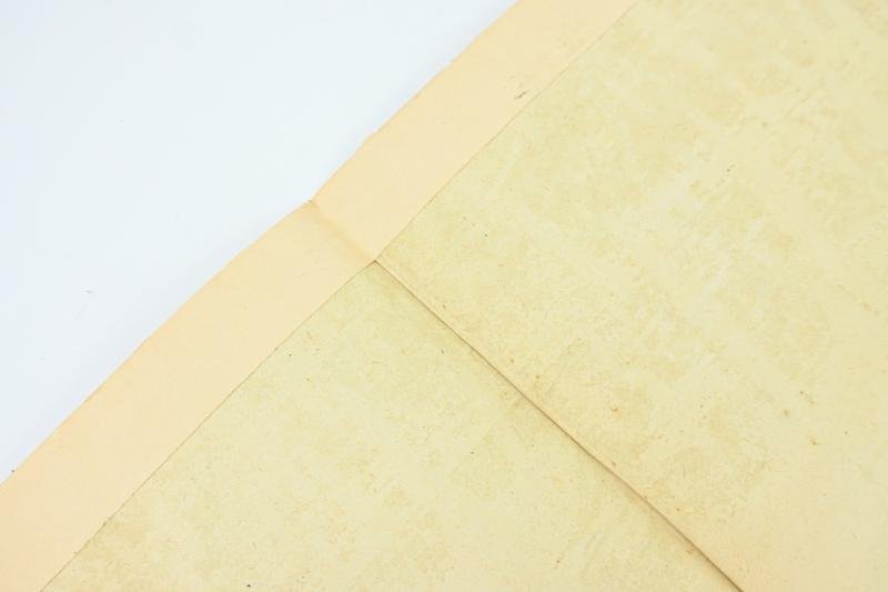 German Dutch Waffen-SS Recruitment Poster 'Frontzorg is ereplicht' — image 14