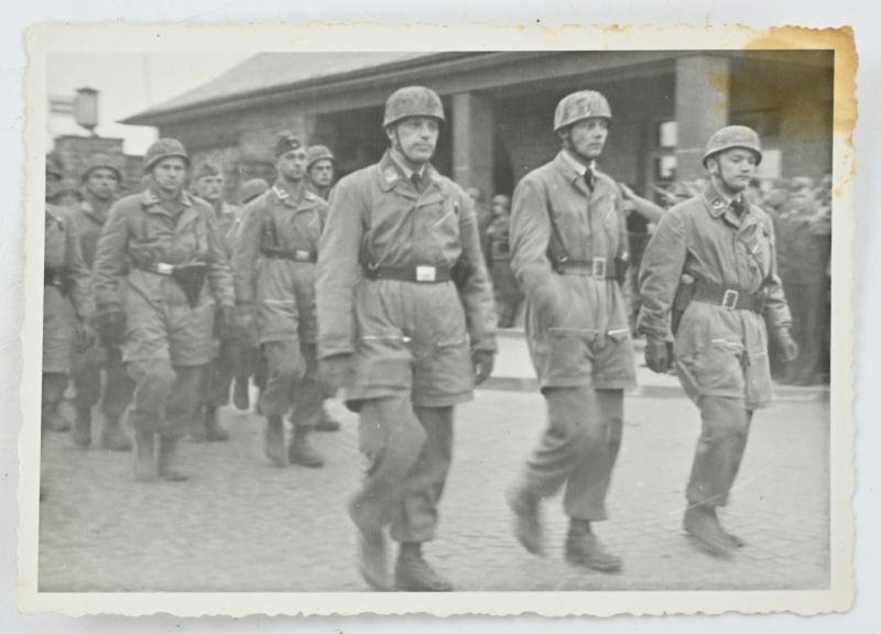 German LW FSJ Picture Set Witzig/Koch — image 2