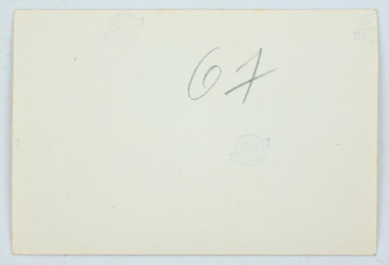 German LW FSJ Picture Set Witzig/Koch — image 7