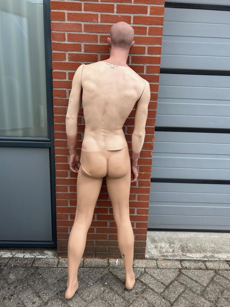 Stunning Painted Male Mannequin — image 7