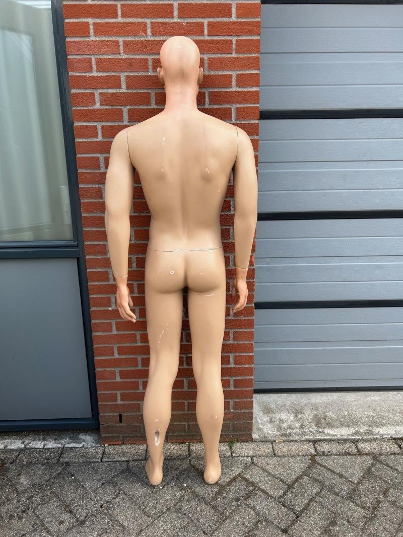 Stunning Painted Male Mannequin — image 7