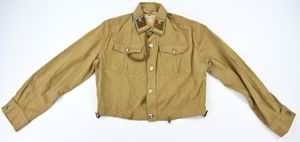 German NSDAP Brown Shirt 'Hauptgemeinschaftsleiter'