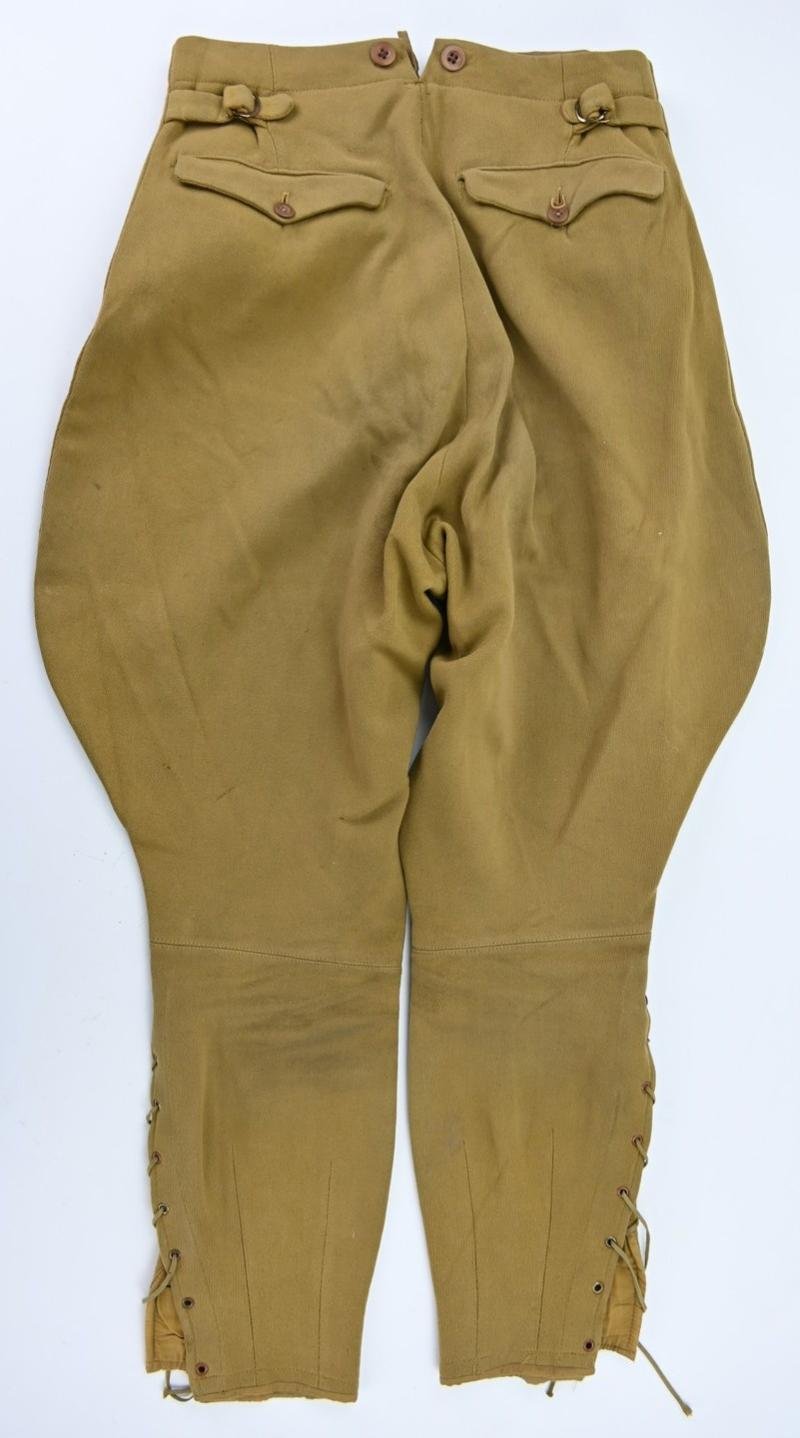 German NSDAP Leader Service Breeches — image 3