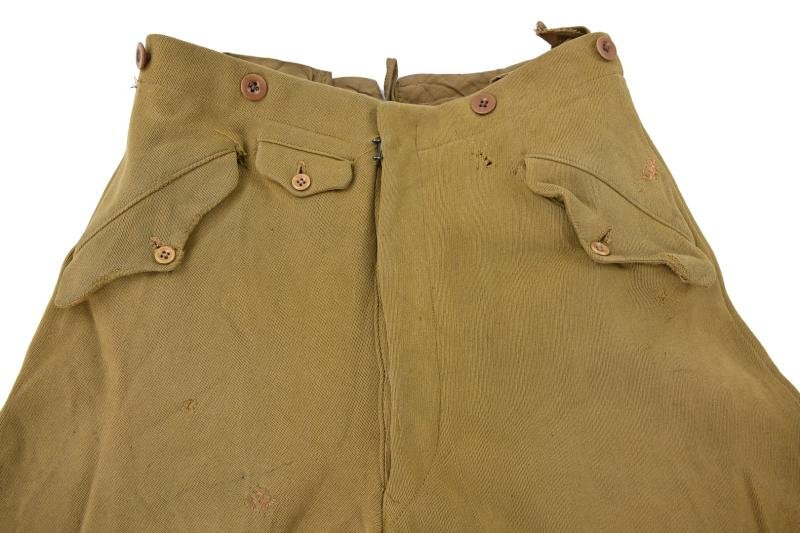 German NSDAP Leader Service Breeches — image 5