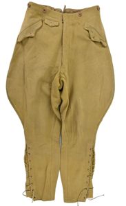 German NSDAP Leader Service Breeches