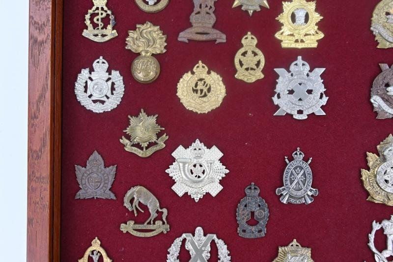 British/Canadian WW2 Cap badge collection — image 6