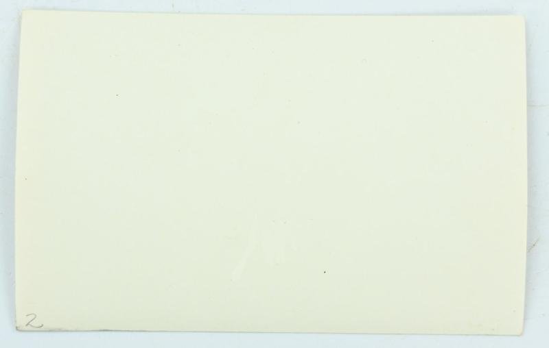 German Waffen-SS Brothers Picture — image 2