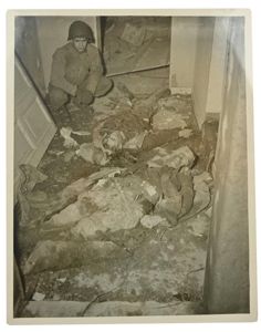 US WW2 Press Photo 'Dead Germans at Volkenrath'