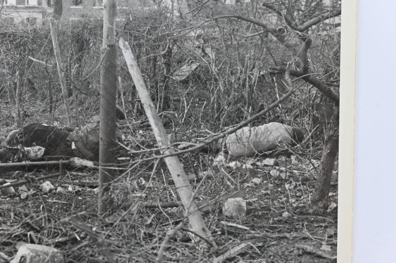 US WW2 Press Photo Set 'Box Mine' — image 7