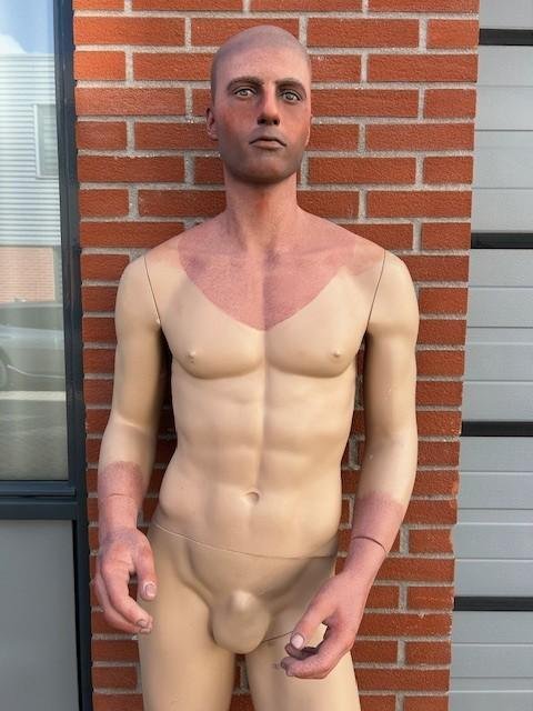 Stunning Painted Male Mannequin — image 2
