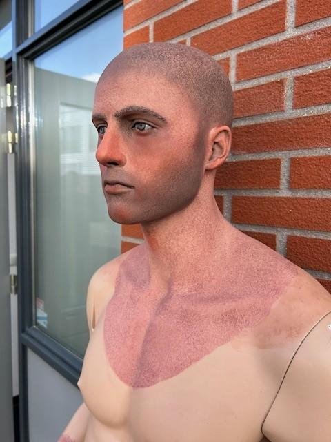 Stunning Painted Male Mannequin — image 4