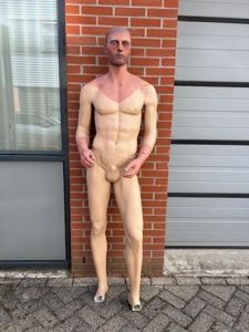 Stunning Painted Male Mannequin