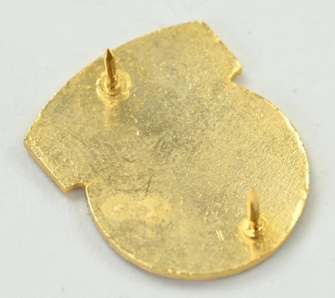 US Army 17th Airborne Division DUI Unit Crest Pin — image 3